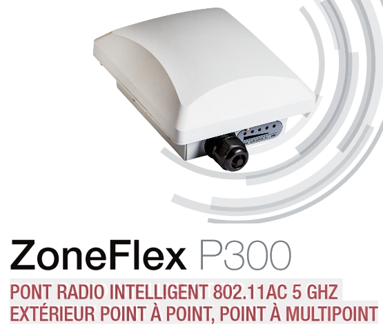 Ruckus Pont Wifi Ruckus ZoneFlex P300 : 802.11ac 5 GHz extérieur haute  performance : Contrat Mtce 1 an - à partir de 2278 € HT CARRY
